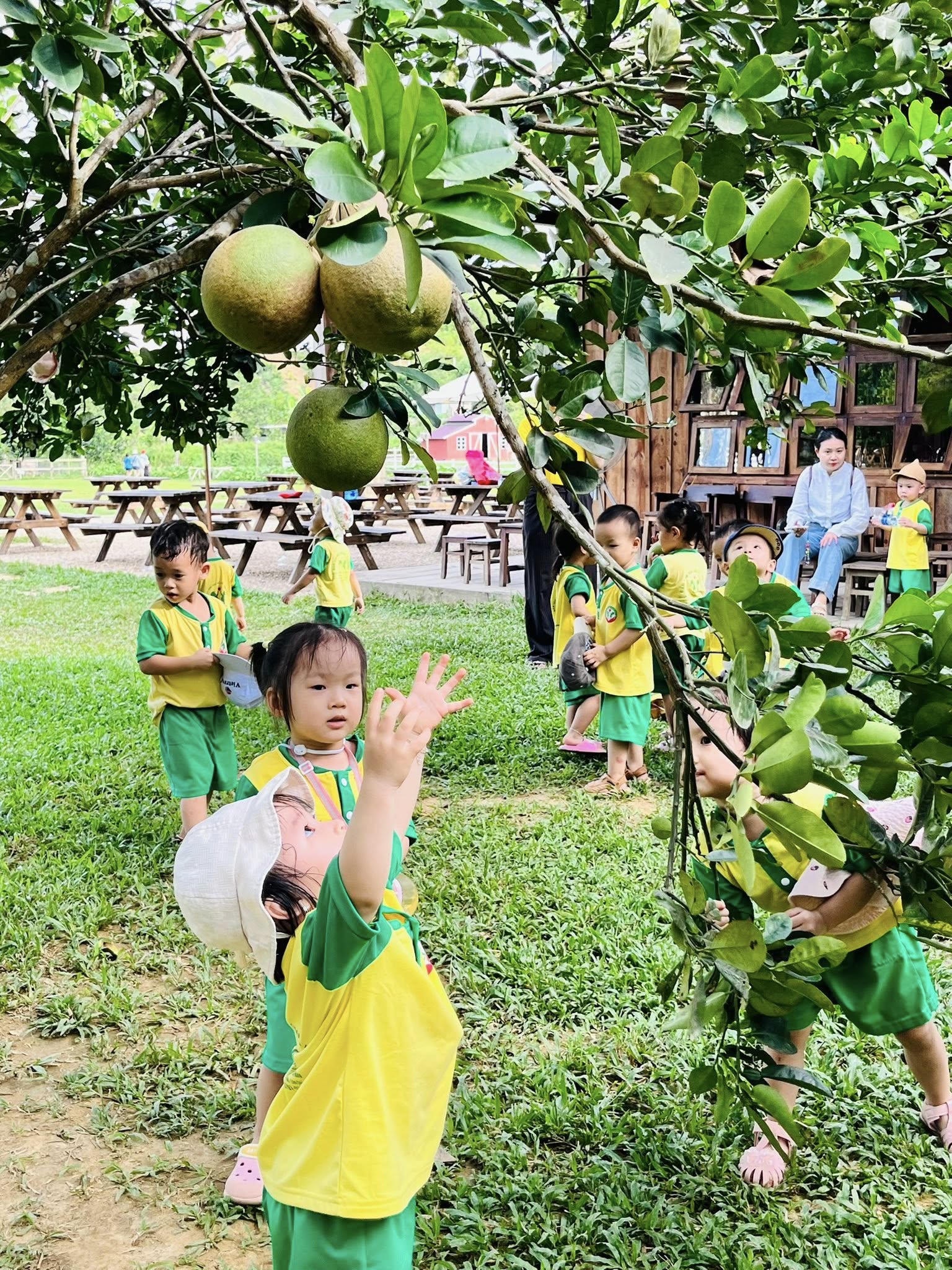 Hoạt động dã ngoại tháng 7/2025 tại "The farm'' 10 526293655 1355095026619455 8757772426195645827 n