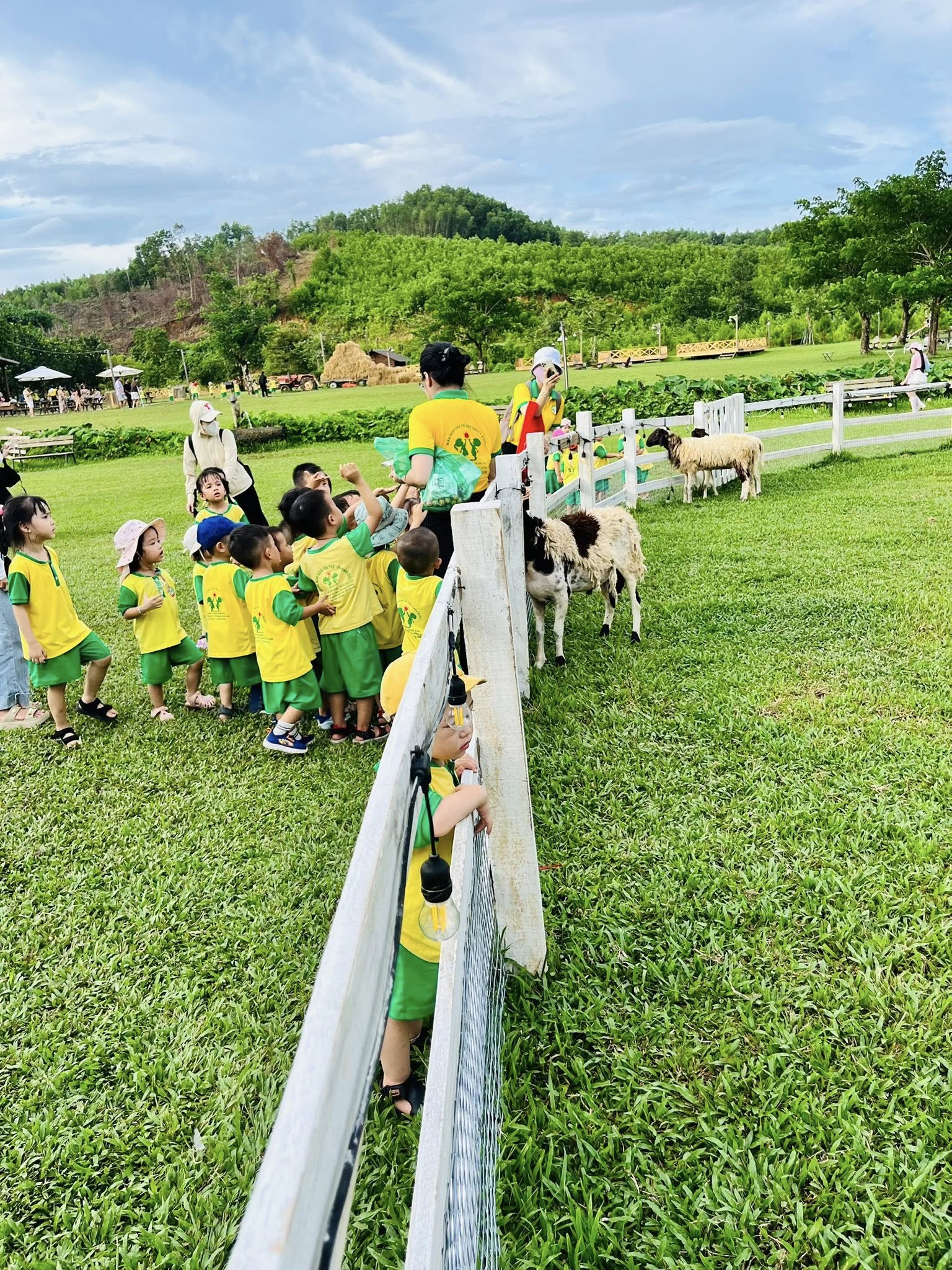 Hoạt động dã ngoại tháng 7/2025 tại "The farm'' 12 526887928 1355094979952793 4769943688340082654 n
