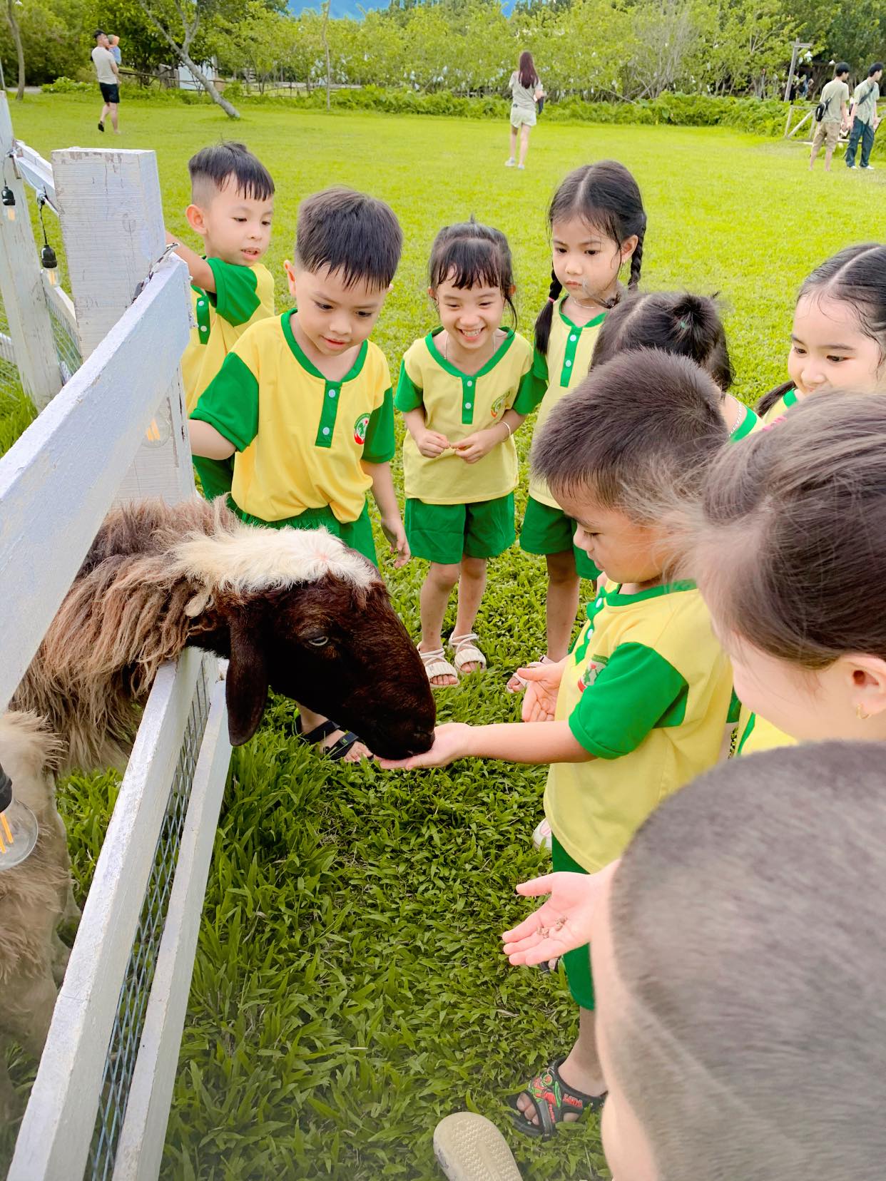 Hoạt động dã ngoại tháng 7/2025 tại "The farm'' 14 528504153 1915411779192326 970736312822845892 n